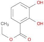 2,3-DIHYDROXY-BENZOIC ACID ETHYL ESTER
