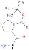 2-HYDRAZINOCARBONYL-PYRROLIDINE-1-CARBOXYLIC ACID TERT-BUTYL ESTER