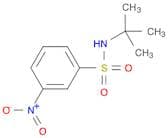 N-T-BUTYL 3-NITROBENZENESULFONAMIDE