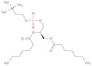 1,2-diheptanoyl-sn-glycero-3-phosphocholine