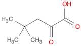 4,4-Dimethyl-2-oxo-pentanoic acid