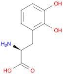 (S)-2-Amino-3-(2,3-dihydroxyphenyl)propanoic acid