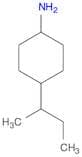 4-(sec-Butyl)cyclohexanamine