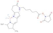 3-Bodipy-propanoylaminocaproic Acid, N-Hydroxysuccinimide Ester