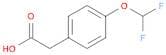 4-(DIFLUOROMETHOXY)PHENYLACETIC ACI