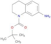 tert-Butyl 7-amino-3,4-dihydroquinoline-1(2H)-carboxylate
