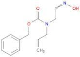 (E)-benzyl allyl(2-(hydroxyimino)ethyl)carbamate