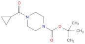 tert-butyl 4-(cyclopropylcarbonyl)-1-piperazinecarboxylate