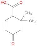 2,2-Dimethyl-4-oxocyclohexanecarboxylic acid