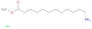 Methyl 12-Aminododecanoate, Hydrochloride