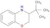 3-(tert-Butyl)-3,4-dihydro-2H-benzo[b][1,4]oxazine