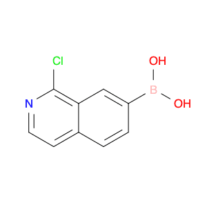 1-chloroisoquinolin-7-yl-7-boronic acid