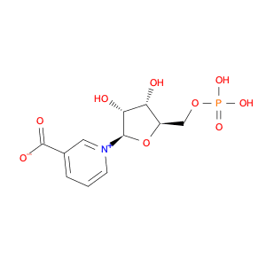 Nicotinic acid mononucleotide