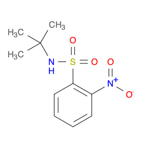 N-tert-Butyl-2-nitrobenzenesulfonamide