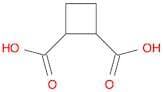 Cyclobutane-1,2-dicarboxylic acid