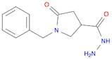 1-Benzyl-5-oxo-3-pyrrolidinecarbohydrazide