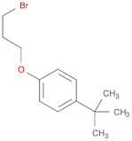 1-(3-Bromopropoxy)-4-(tert-butyl)benzene