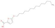 5-(Tetradecyloxy)-2-furoic acid