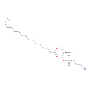 1-PALMITOYL-SN-GLYCERO-3-PHOSPHOETHANOLAMINE