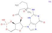 N2,2'-O-DIBUTYRYLGUANOSINE 3'