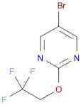 5-Bromo-2-(2,2,2-trifluoro-ethoxy)-pyrimidine