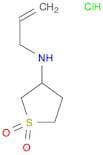 ALLYL-(1,1-DIOXO-TETRAHYDRO-1λ6-THIOPHEN-3-YL)-AMINE
