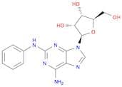 2-Phenylaminoadenosine