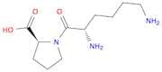 H-Lys-Pro-OH