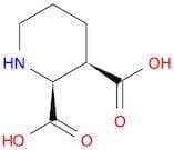2,5-Dibromopiperidine