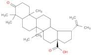 Betulonicacid
