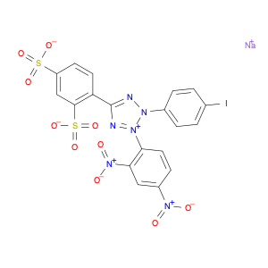 4-[3-(4-Iodophenyl)-2-(2,4-Dinitrophenyl)-2H-5-Tetrazolio]-1,3-Benzene Disulfonate