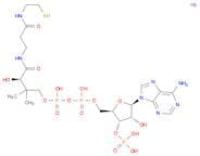 COENZYME A SODIUM SALT