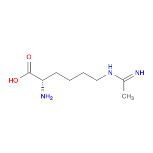 N-(5-AMINO-5-CARBOXYPENTYL)-ACETAMIDINE