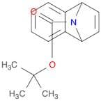 tert-Butyl 11-azatricyclo[6.2.1.0(2,7)]undeca-2,4,6,9-tetraene-11-carboxylate