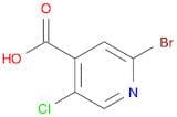 2-Bromo-5-chloro-isonicotinic acid
