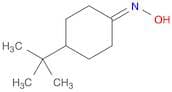 4-(tert-butyl)cyclohexanone oxime