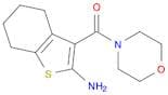 3-(Morpholin-4-ylcarbonyl)-4,5,6,7-tetrahydro-1-benzothien-2-ylamine