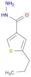 5-Propylthiophene-3-carbohydrazide