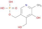 5-hydroxy-4-(hydroxymethyl)-6-methyl-3-pyridylmethyl dihydrogen phosphate