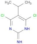4,6-Dichloro-5-isopropylpyrimidin-2-amine