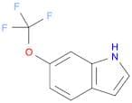 6-(Trifluoromethoxy)-1H-indole