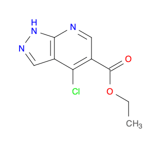 Ethyl 4-chloro-1H-pyrazolo[3,4-b]pyridine-5-carboxylate