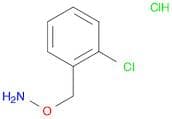 1-[(Ammoniooxy)methyl]-2-chlorobenzene chloride