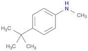 (4-tert-Butyl-phenyl)-methyl-amine