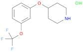 4-[3-(trifluoromethoxy)phenoxy]piperidine