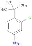 4-tert-butyl-3-chlorobenzenamine