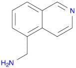 C-Isoquinolin-5-yl-methylamine