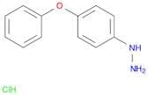 4-Phenoxyphenylhydrazine hydrochloride