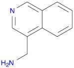 Isoquinolin-4-ylmethanamine