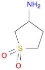 1,1-Dioxidotetrahydrothien-3-ylamine
